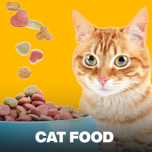 Cat Food
