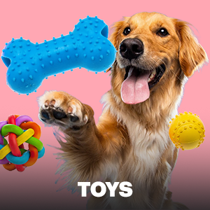 Pet Supplies Shop Pets Stuff at Best Prices Jumia Egypt