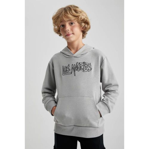 Boy Hooded New Regular Fit Sweat Shirt - Grey