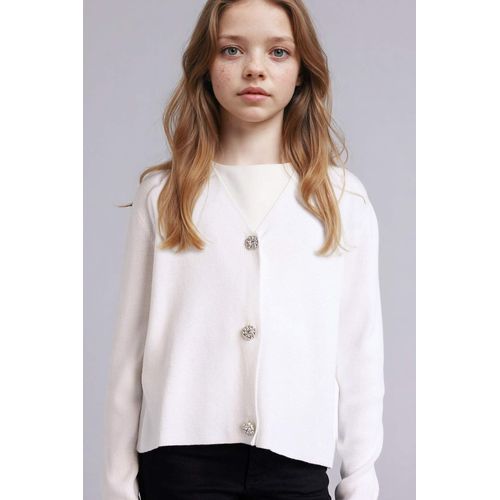 Regular Fit V-Neck Cardigan