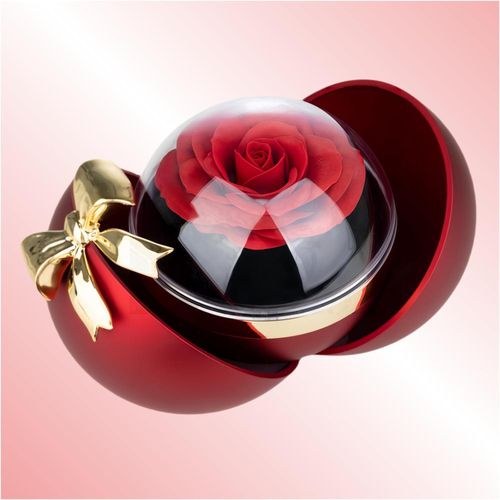 Personalized Jewelry Box with Red Rose Bridesmaid Gifts Jewelry Case Ring Box Birthday Christmas Valentines Day Mothers Day Gifts for Women