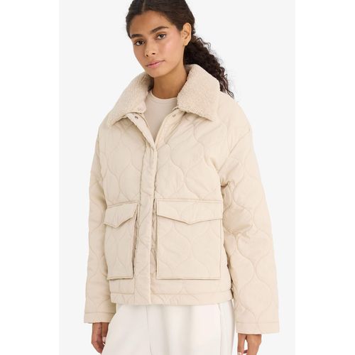 جاكيت مبطن قصة عادية بياقة بولو ببطانة صوفية