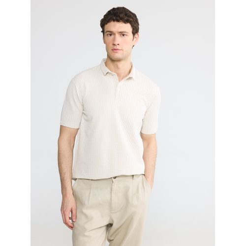 Collared Neck Man T-Shirt