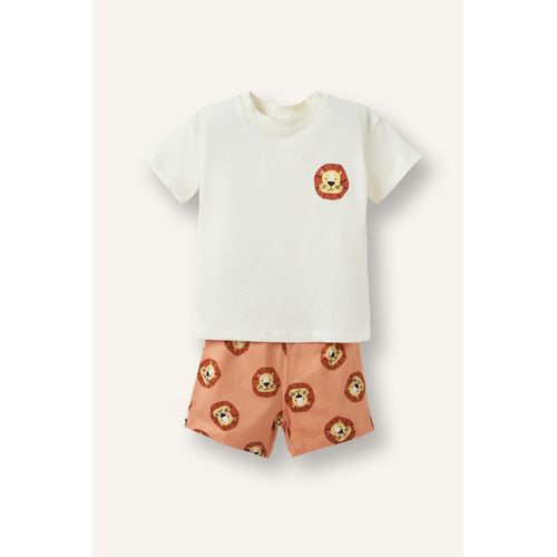 Baby Boy Lion Print T-Shirt Lion Pattern Shorts 2 Piece Set