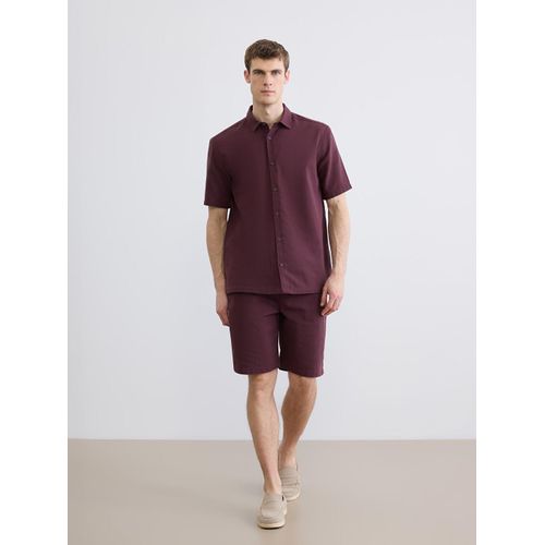 Regular Fit Men's Shorts