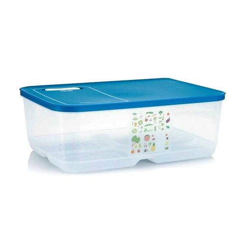 Kvadrant Forbavselse menneskelige ressourcer Tupperware Ventsmart 9.9L - Blue Lid price in Egypt | Jumia Egypt | kanbkam