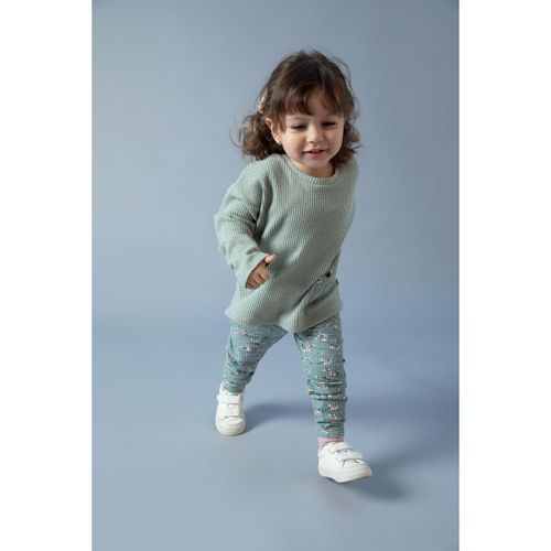 Baby Girl Bike Neck Regular Fit Knitted Set - Lt.Green