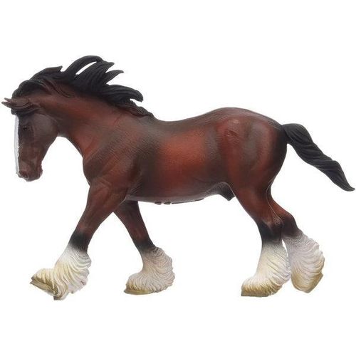 Clydesdale Stallion