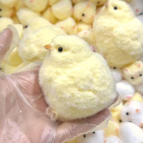 Pack of 2 Squishy, Stress Relief, Squishy Toy, Squeeze Toy, Squishy Chicken, Chick Squishy Toy, Squeeze Toy for Children and Adults (A)