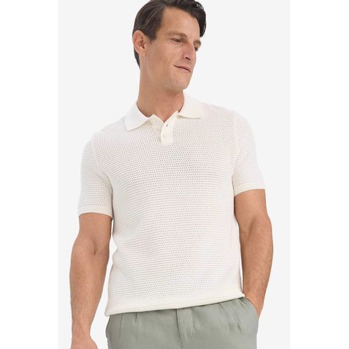 Standard Fit Short Sleeve Knitwear Cotton Polo T-Shirt