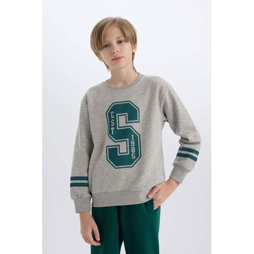 Boy Crew Neck Printed Thick Sweatshirt