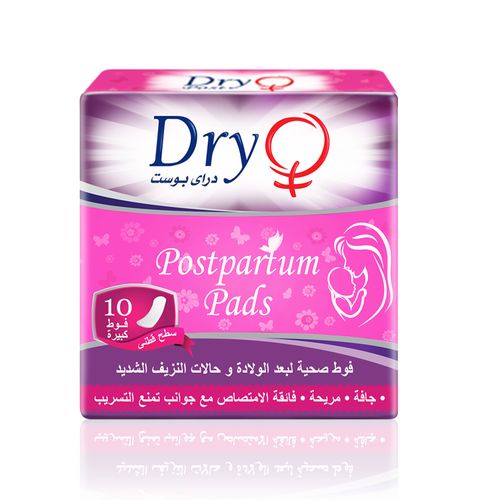 Dry Postpartum Pads - Large - 10Pcs price in Egypt, Jumia Egypt
