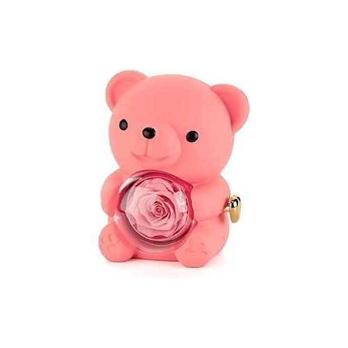 Romantic Teddy Bear Jewellery Box with Crystal Globe, Rotating Design, Gift Set (pink)