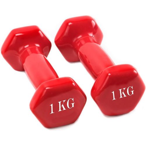 2-Piece Vinyl Hex Hand Weights Set (1kg Each), Ergonomic Anti-Roll Fitness Dumbbells for Muscle Training & Aerobics – Multicolor