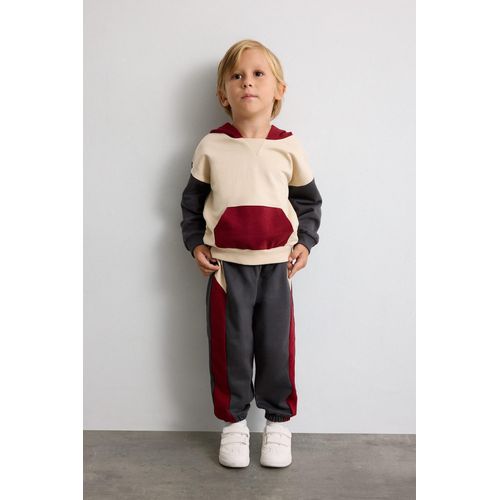Baby Boy 100% Cotton 2-Piece Thin Sweatshirt Sweatpants Set