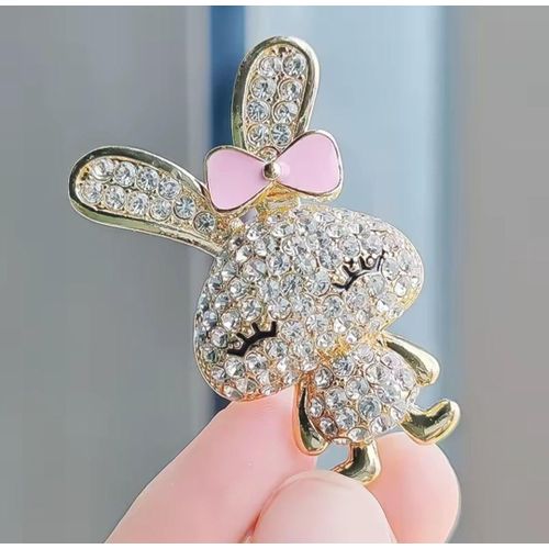 brooch and clothes pin