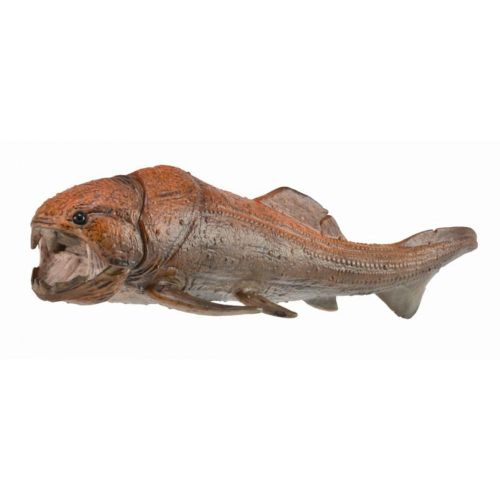 Dunkleosteus With Moveable Jaw - 88817