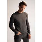 product_image_name-Defacto-Man Crew Neck Regular Fit Pullover - Anthra-4