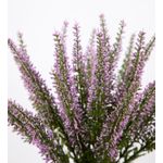 product_image_name-Generic-إريكا-هيذر، نبات صناعي 32 في 28 سم في أصيص، نباتات صناعية من دي بي، زهور صناعية، نباتات، شجيرة إريكا، 100% بلاستيك بولي إيثيلين (وردي داكن)-4