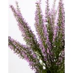 product_image_name-Generic-إريكا-هيذر، نبات صناعي 32 في 28 سم في أصيص، نباتات صناعية من دي بي، زهور صناعية، نباتات، شجيرة إريكا، 100% بلاستيك بولي إيثيلين (وردي داكن)-7