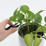 product_image_name-Generic-Multifunctional Small Sewing Scissors, Black-3