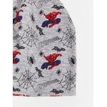 product_image_name-LC Waikiki-Spider-Man Printed Boys Beanie 2-Pack-2