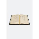 Generic Arabic Language Lessons for Non-Native Speakers - image 2