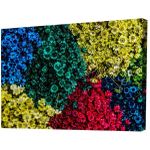 تابلوه مودرن كانفس الزهور والنباتات - 70 x 50 سم