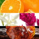 product_image_name-Generic-برفان اوريفليم اوول اور نثنج امبليفايد للنساء-5