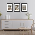 product_image_name-Generic-20x30 cm Black Frame, 3 Pack 20x30 cm Picture Frame, With Stand Tabletop or Wall Hanging,-2