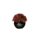 نبات شجيرة حمراء اصطناعي في وعاء أسود لامع