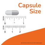 product_image_name-Now Food-البيوتين، 5000 ميكروغرام، 120 كبسولة نباتية، يدعم الوظيفة الطبيعية للجهاز المناعي.-4