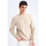 Defacto Regular Fit Crew Neck Thick Basic Solid Sweatshirt