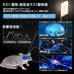 product_image_name-Generic-ضوء ليلي LED مع طارد الآفات بالموجات فوق الصوتية - عزز مساحتك مع جهازنا المبتكر الذي يجمع بين مكافحة الآفات الفعالة وتوهج دافئ وجذاب (عبوة من 2)-6