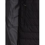 product_image_name-LC Waikiki-معطف منفوخ برقبة قمعية للرجال بمقاس قياسي-6