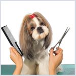 product_image_name-Generic-مشط شعر مسطح الرأس من ألياف الكربون المضادة للكهرباء الاستاتيكية للاحتراف لتصفيف وتجزئة الشعر للحلاقين ومصففي الشعر_للرجال والنساء_أسود-6