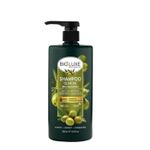 Bioluxe Olive Shampoo 500ml