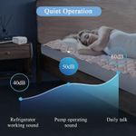 product_image_name-Generic-مرتبة وسادة ضغط الهواء بالتناوب قرحة الفراش مع طبقة علوية ومضخة قابلة للنفخ سرير هادئة للحد من قرح لمرضى المشافي طريحي وعلاج كلوريد البولي فينيل بيج ايسليدز كامل-6