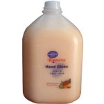 Kamena كامينا هاند كلين ضد البكتريا - 4 لتر- تروبيكال