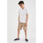 product_image_name-Defacto-Boy Polo Neck Regular Fit Short Sleeve Polo T-Shirt - White-3