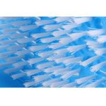 product_image_name-Generic-شبشب لتنشيط النقاط الانعكاسية وتنظيف القدم-3