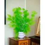 product_image_name-Generic-نبات تزييني صناعي من الفيكوس مع وعاء، فروع شجرة فيكوس صناعية، نبات تزييني أخضر صناعي للديكور الداخلي والخارجي للمنزل والمكتب والمدخل - قطعة واحدة لون Paroot Green-1