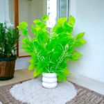 product_image_name-Generic-نبات تزييني صناعي من الفيكوس مع وعاء، فروع شجرة فيكوس صناعية، نبات تزييني أخضر صناعي للديكور الداخلي والخارجي للمنزل والمكتب والمدخل - قطعة واحدة لون Paroot Green-6