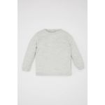 product_image_name-Defacto-Baby Boy Bike Neck Regular Fit Pullover - Lt.Grey-2