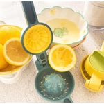 Generic عصارة ليمون وبرتقال يدوية سهلة العصر - image 4