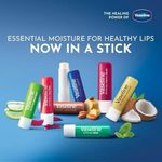 product_image_name-Vaseline-بلسم الشفاه علاج الشفاه بالألوفيرا مع الجيلي النقي وخلاصة الألوفيرا الغنية للشفاه اللامعة والصحية يغذي ويحمي الشفاه مرطب للشفاه غير دهني للشفاه الطبيعية 4.8 جرام-4