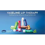 product_image_name-Vaseline-بلسم الشفاه علاج الشفاه بالألوفيرا مع الجيلي النقي وخلاصة الألوفيرا الغنية للشفاه اللامعة والصحية يغذي ويحمي الشفاه مرطب للشفاه غير دهني للشفاه الطبيعية 4.8 جرام-5