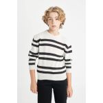 product_image_name-Defacto-Boy C Neck Regular Fit Pullover - Optic Lt.Grey Melange-1