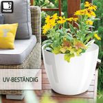 product_image_name-Generic-أصيص زهور بلاستيكي لامع، أصيص زينة للنباتات الكبيرة والصغيرة، طقم من أصيصين، أصيص زهور-أصيص أعشاب، أبيض، قطر 9.5 سم-8