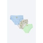 product_image_name-Carina-طقم كرينه من 3 قطع من السراويل الداخلية المطبوعة-1